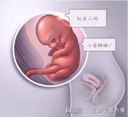 心理科
